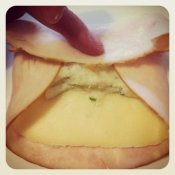 Step 6: chiudete l'involtino