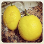 Procuratevi dei limoni buoni, ma buoni eh! ^___^