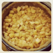 Step 9: aggiungere il ripieno