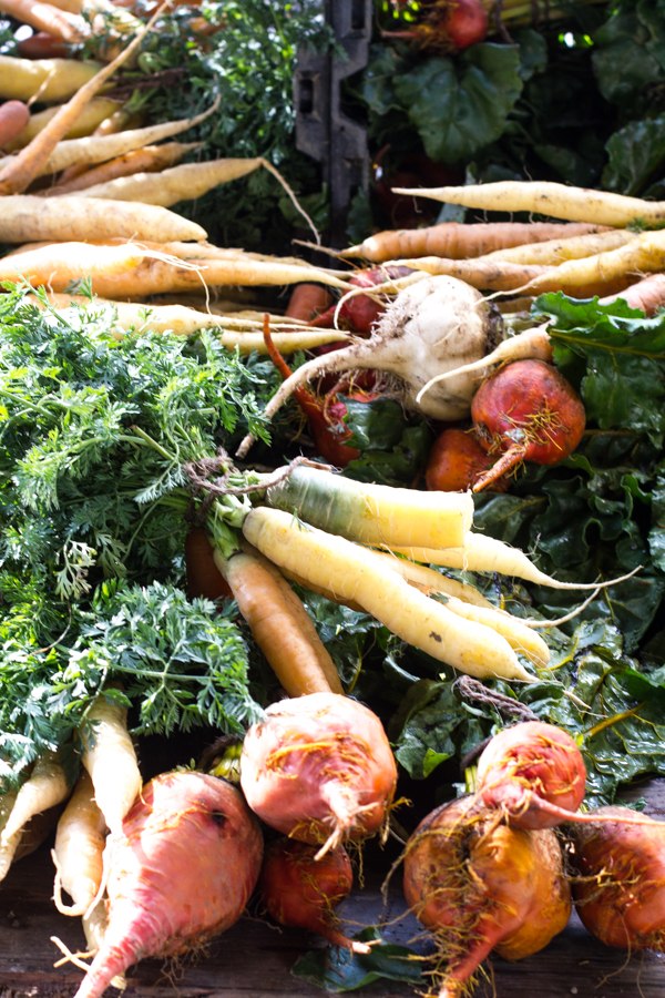 Union Square Greenmarket | New York