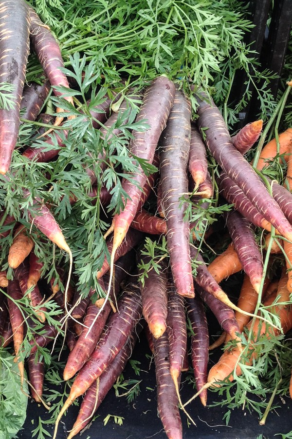 Union Square Greenmarket | New York